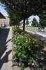Detail 1 - srpen
